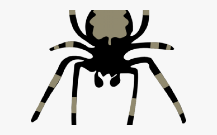 Cartoon Spiders Clipart - Spider Clipart, Transparent Clipart