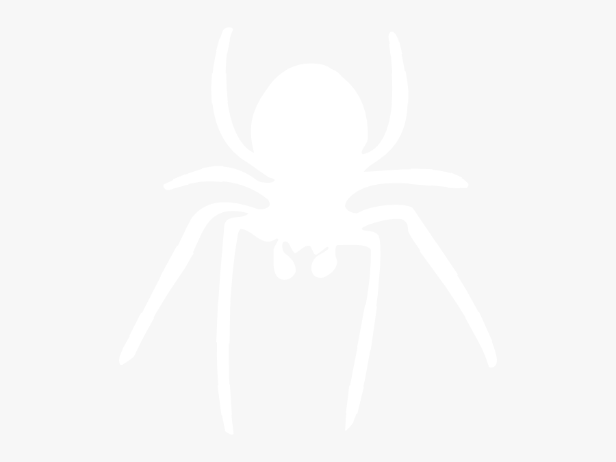 Spider Clipart White - Insect, Transparent Clipart
