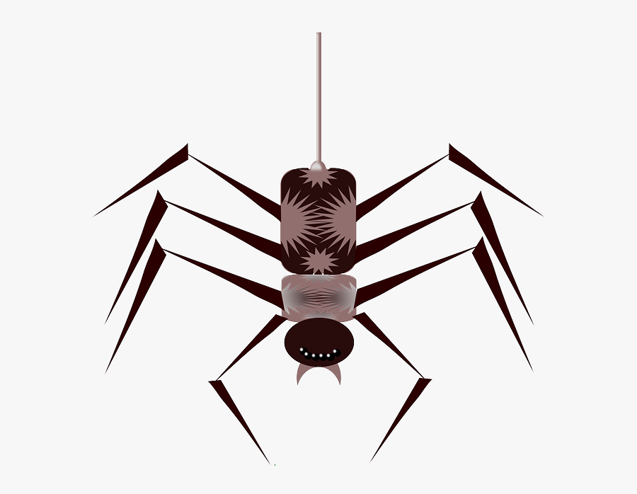 Cartoon, Bugs, Spider, Bug, Free, Web, Insect, Insects - Cartoon Spider, Transparent Clipart