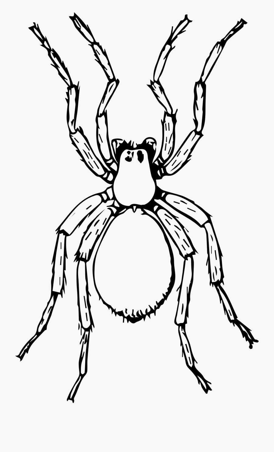 Big Image Png - Spider Black And White Png, Transparent Clipart