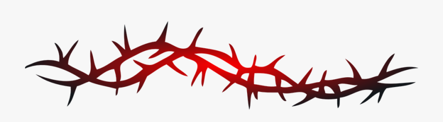 Barbed Wire, Curled, Twisted, Red, Danger, Keep Out - Thorns Clipart, Transparent Clipart