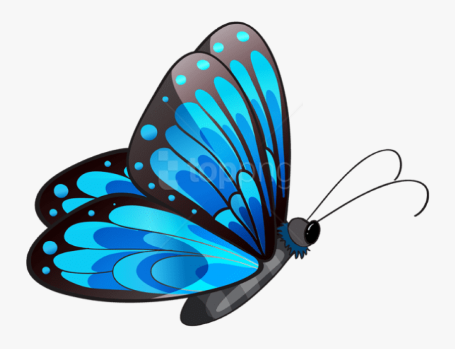 Butterfly Png Images - Flying Butterfly Clip Art, Transparent Clipart