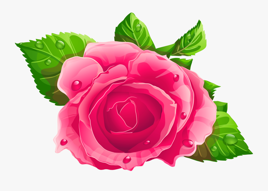 Clip Art Rose Flowers Pic - Flor Rosa Png, Transparent Clipart