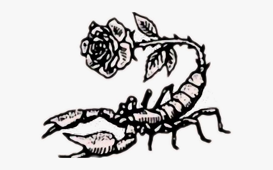 Scorpio With Rose, Transparent Clipart