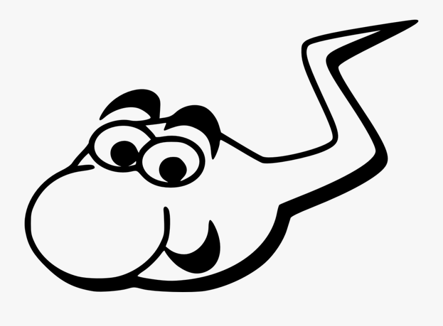 Sperm Clipart Png, Transparent Clipart