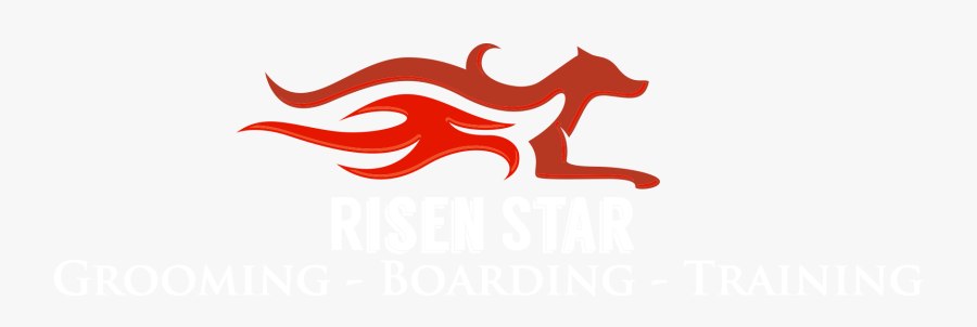 Risen Star, Transparent Clipart