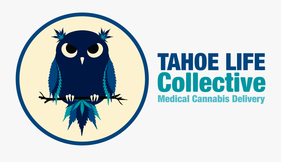 Girl Scout Cookies King Tarantula By Ganja Gold Clipart, Transparent Clipart