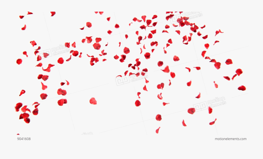 Falling Petals Png Free Download - Rose Petals Falling Png, Transparent Clipart