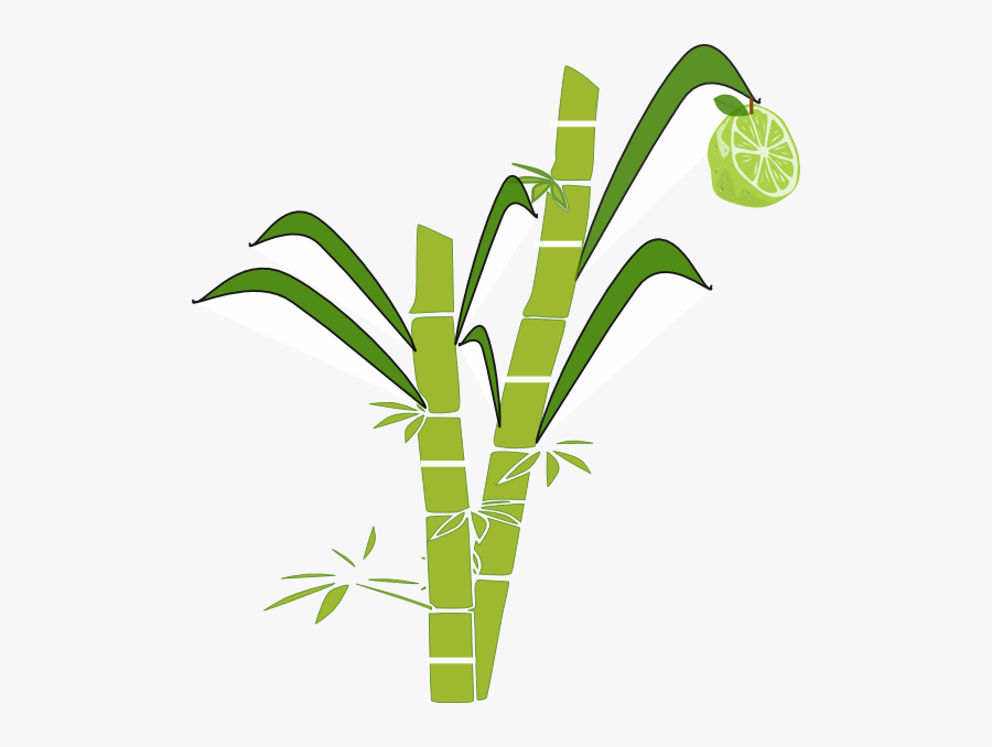 Free Sun Line Art, Download Free Clip Art, Free Clip - Sugar Cane Easy Drawing, Transparent Clipart