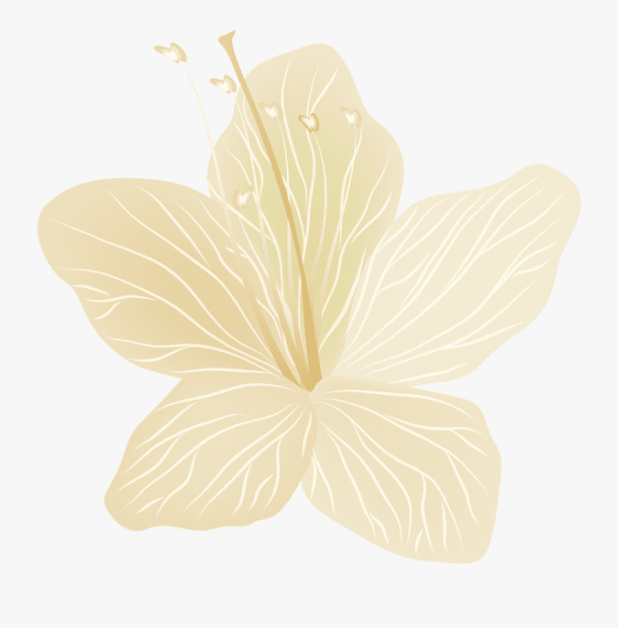 Thoranam Images Png - Chinese Hibiscus, Transparent Clipart