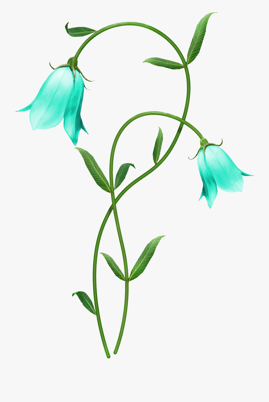 Transparent Flower Vines Png - Blue Lily Flower Png, Transparent Clipart