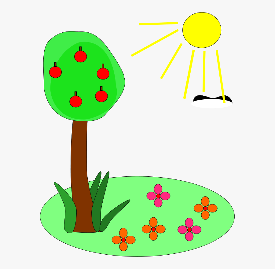 Plant And Sun Clipart & Plant And Sun Clip Art Images - Summer Clip Art, Transparent Clipart
