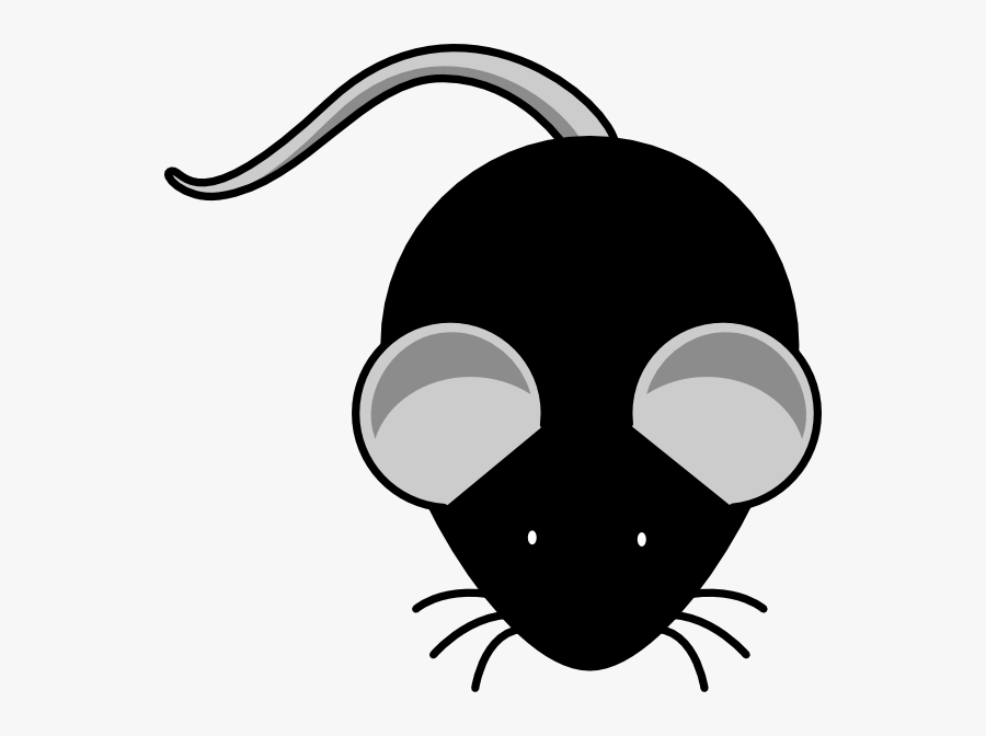 Transparent Orange Banner Clipart - Blue Mouse Clipart, Transparent Clipart