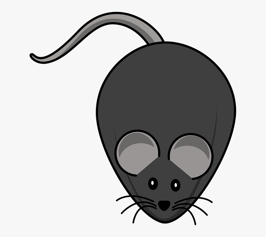 Transparent Cute Mouse Clipart - Mice Cartoon, Transparent Clipart