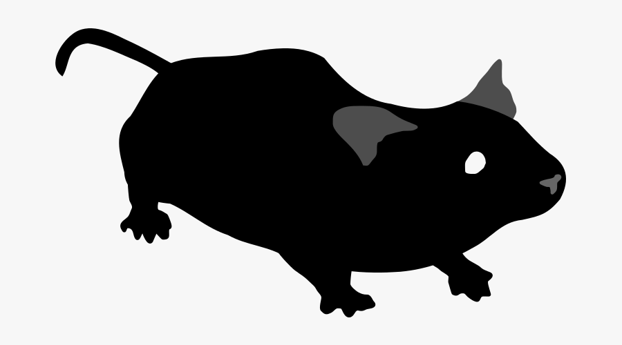 320 × 191 Pixels - Mouse Svg, Transparent Clipart