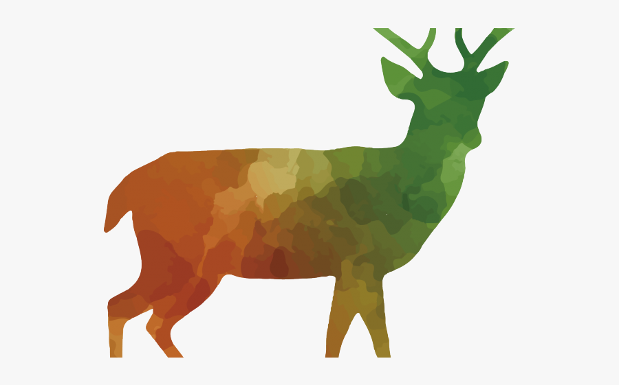 Whitetail Deer Clip Art, Transparent Clipart