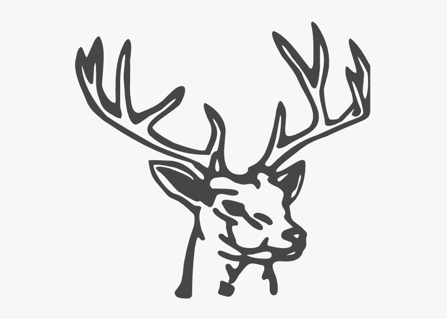 Antler Clipart 8 Point Buck - Ditch The Bitch Lets Go Hunting, Transparent Clipart