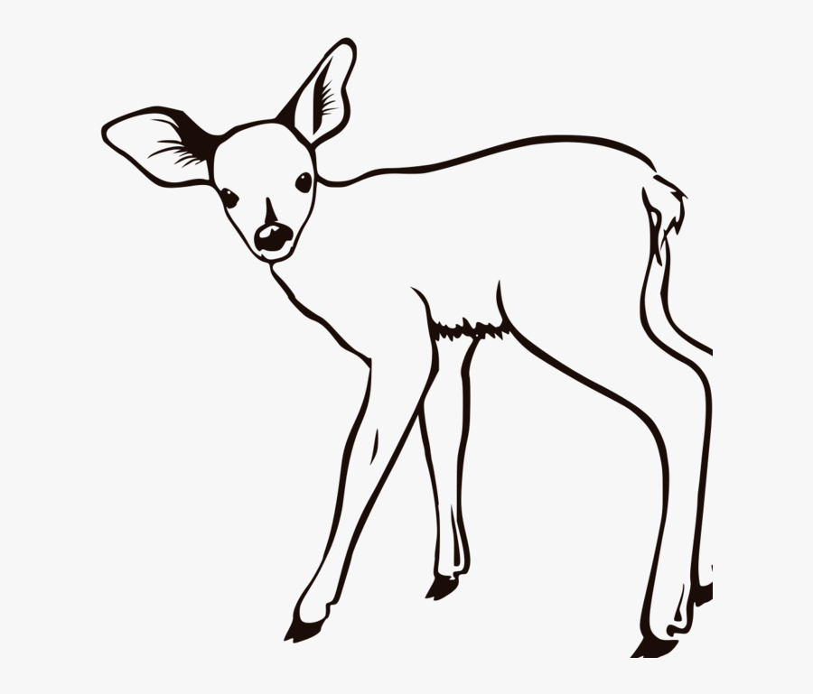 Buck Deer Clip Art Cliparts Co G1ii5l Clipart - Fawn Black And White Clipart, Transparent Clipart