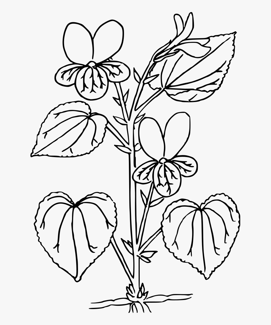 Heart,art,symmetry, Transparent Clipart