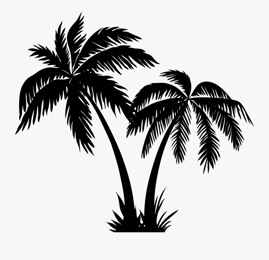 Coconut Tree Clipart Black And White, Transparent Clipart