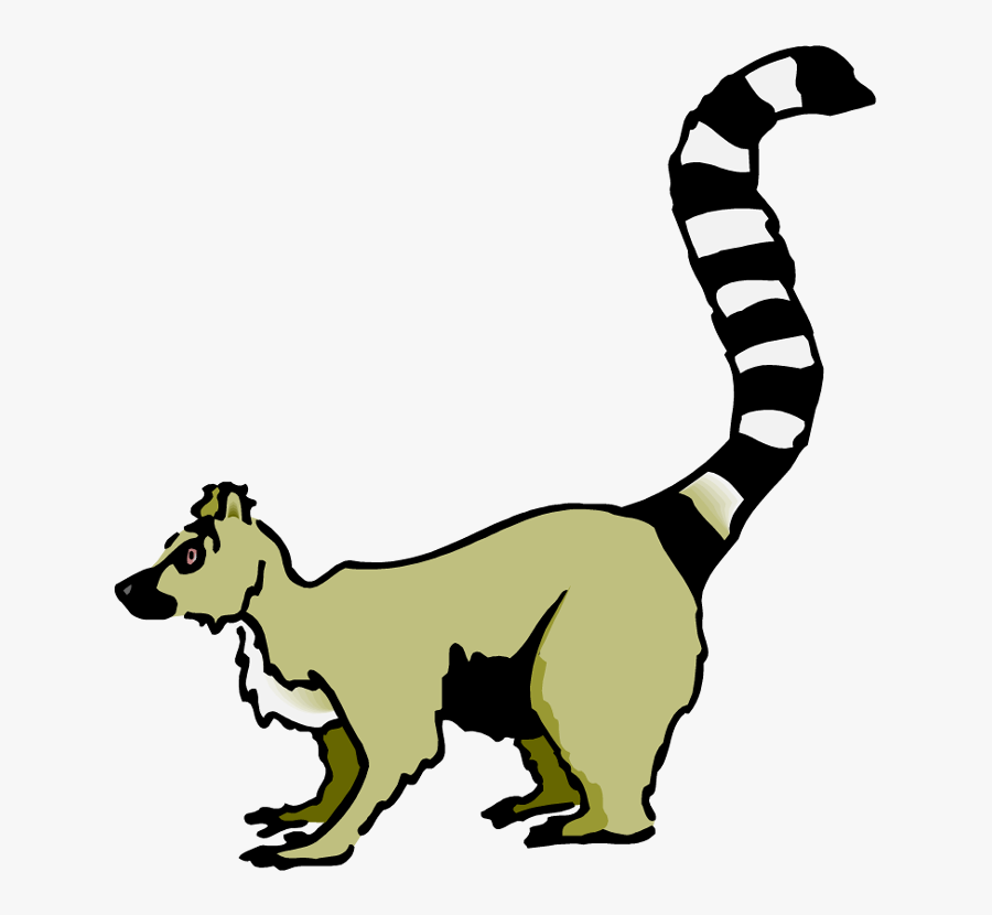 Whitetail Deer Clipart - Ring Tailed Lemur Clipart, Transparent Clipart