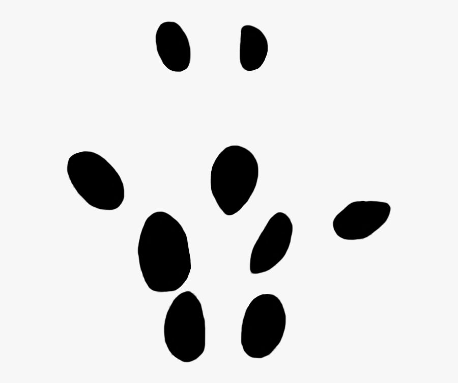 Field Vole Paw Print 10 Mm, Transparent Clipart