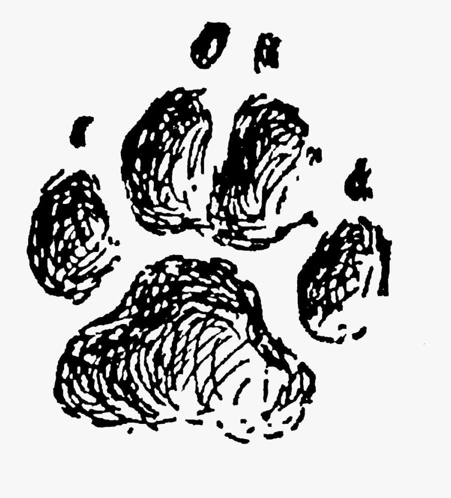 Paw Print Transparent Png, Transparent Clipart