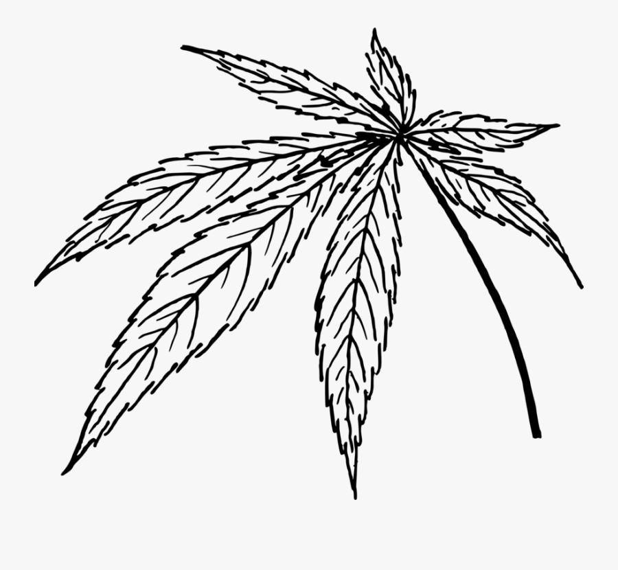 Clip Art Drawing Of Pot Leaf - Cannabis Leaf Png Drawing, Transparent Clipart