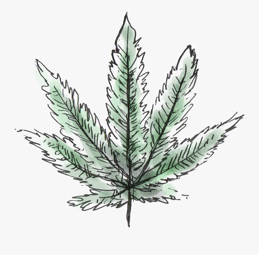 Illustration, Transparent Clipart