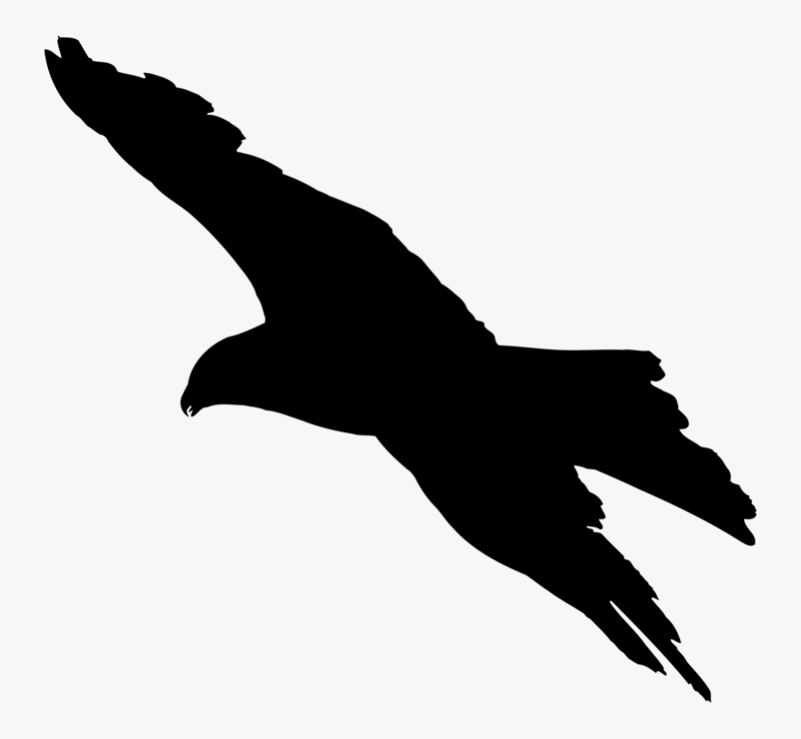 Bird Flight Bird Flight Bald Eagle Silhouette - Silhouette Of Bird Of Prey, Transparent Clipart