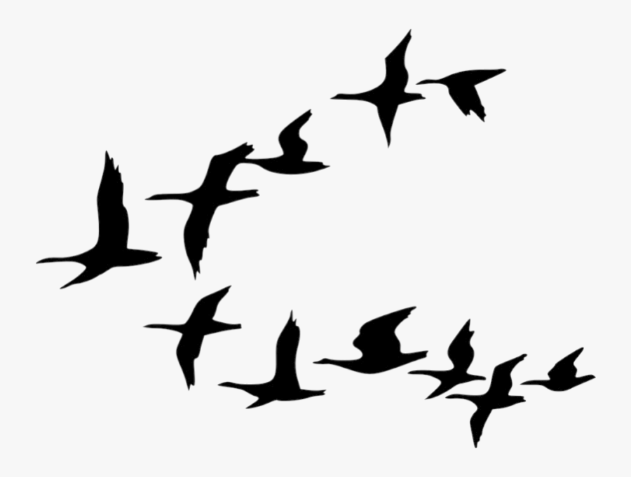 Bird Flock Of Birds Clipart Tree Cartoon Black And - Cartoon Black And White Birds, Transparent Clipart