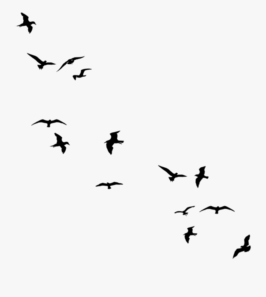Birds Flying Away Clipart - Flying Away Birds Silhouette, Transparent Clipart