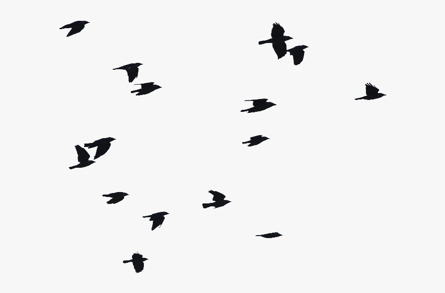 Clip Art Birds Flying Png Image - Bird Flying Silhouette Png, Transparent Clipart