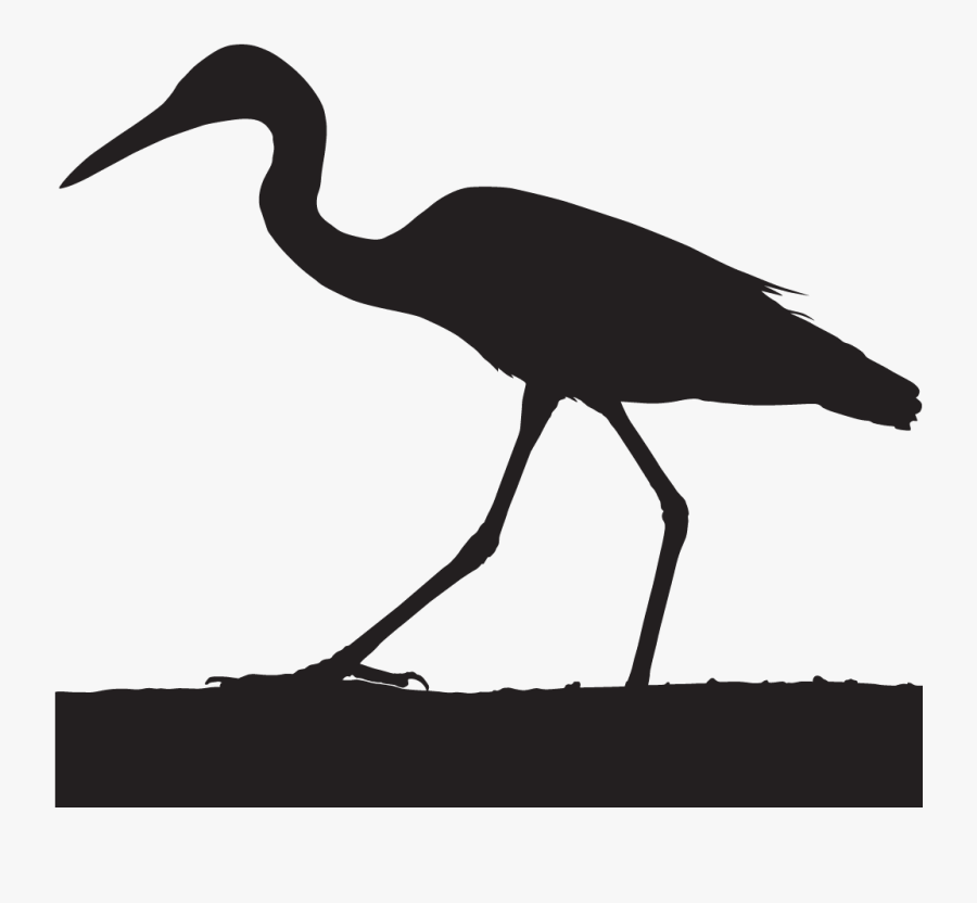 Hd Cattle Egret - Cattle Egret Silhouette Png, Transparent Clipart