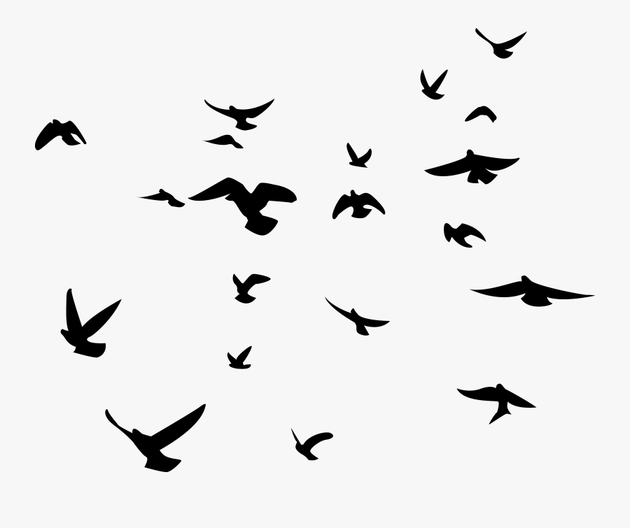 Can Find The Perfect Clip Art Art Inspiration Clip - Transparent Background Birds Icon, Transparent Clipart