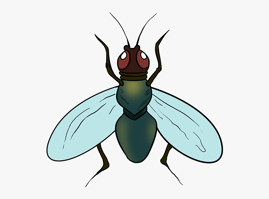 Transparent Fly Png - Fly Draw, Transparent Clipart