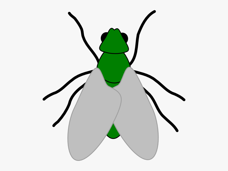 Fly Clipart Greenfly - Fly Clip Art, Transparent Clipart
