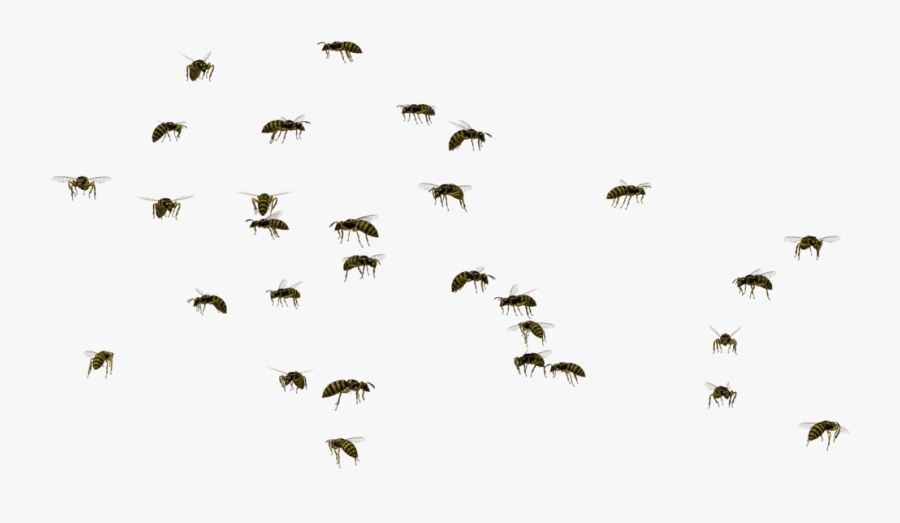 Swarm Of Bees Png Png Royalty Free - Swarm Of Bees Png, Transparent Clipart