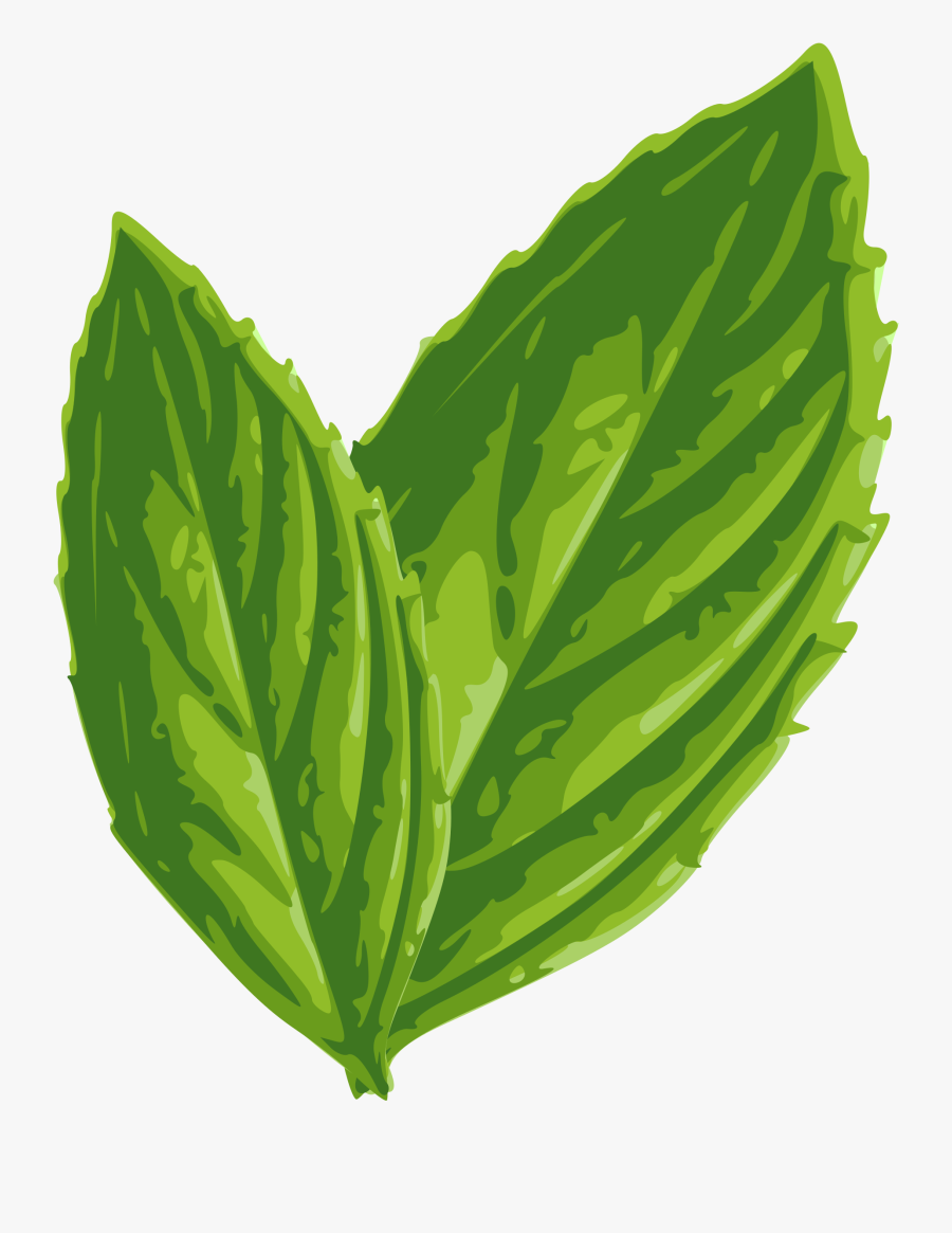 Clipart - Mint Leaves Icon Png, Transparent Clipart