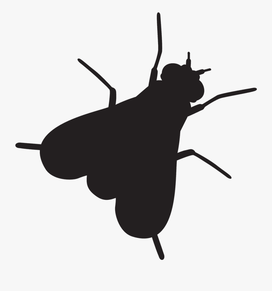 Transparent Roach Clipart - Flies Black And White Png, Transparent Clipart