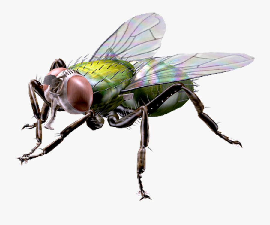 Fly moving. Attack move. след от самолёта в небе обои. Fly with movers. Fly moving.