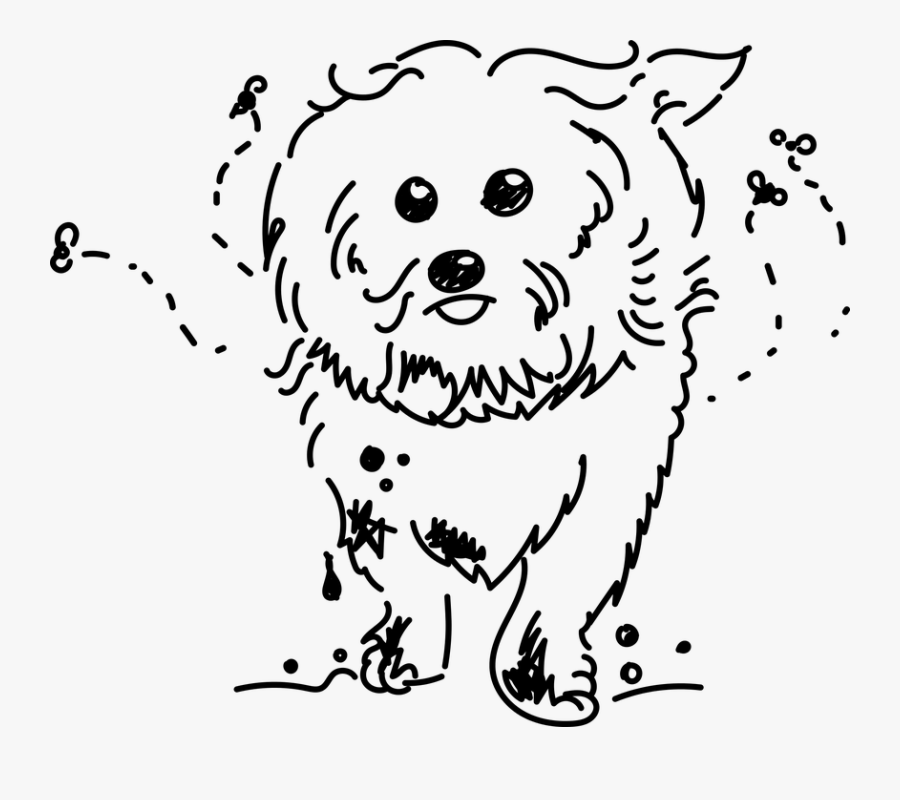 Dog, Dirty, Flies, Children, Sad, Puppy - Dirty Dog Drawing, Transparent Clipart
