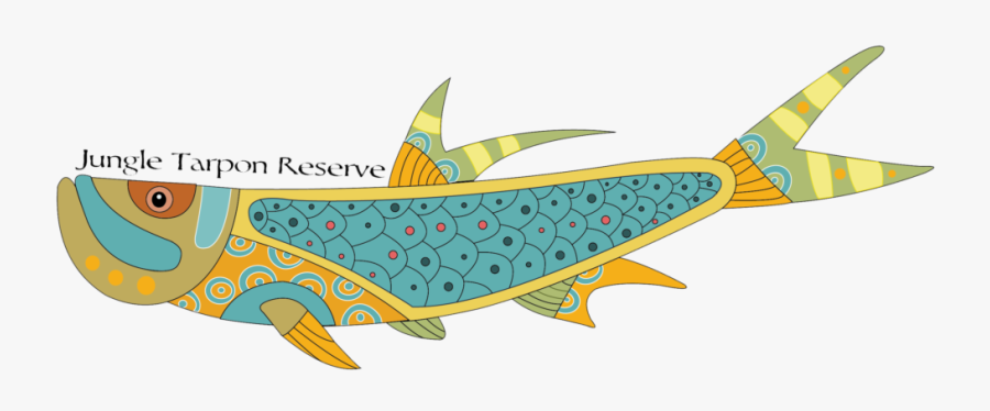 Transparent Fly Fishing Flies Clipart, Transparent Clipart