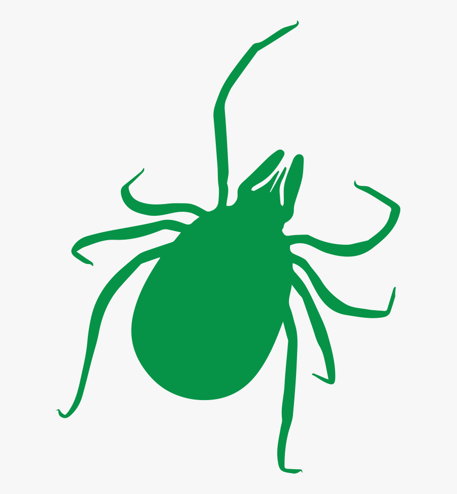 Bugs Clipart Tick - Tick Bug Transparent, Transparent Clipart