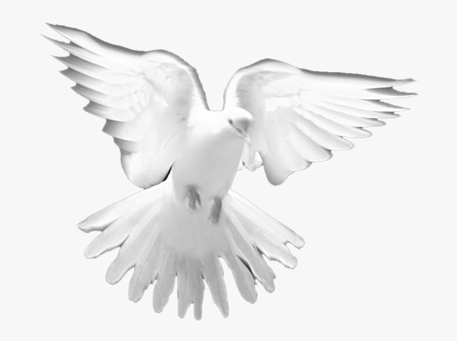 Holy Spirit Prayer Christian - Holy Spirit Dove Png, Transparent Clipart