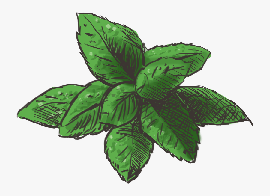 Mint Clipart Spearmint - Transparent Mint Clip Art, Transparent Clipart