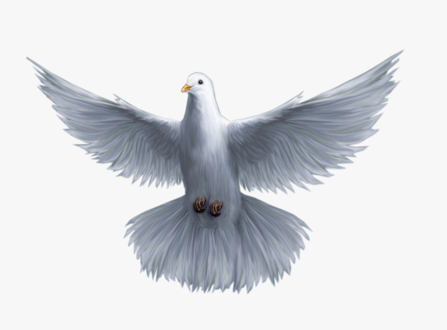Holy God Pomba Saint Spirit Trinity Clipart - Holy Spirit Dove Png, Transparent Clipart