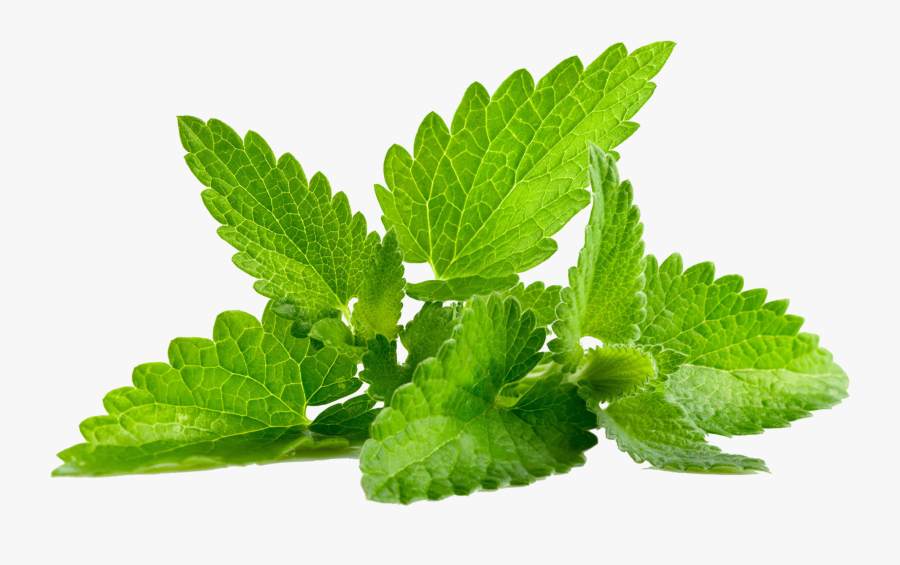 Mint Png Transparent - Mint Png, Transparent Clipart