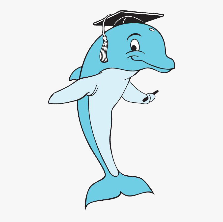 In Free Cliparts Download - Dolphin Graduation Cap, Transparent Clipart