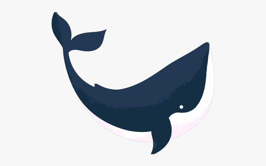 Dolphins Clipart Scene - Killer Whale, Transparent Clipart
